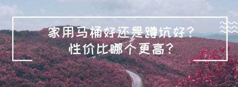 家用马桶好还是蹲坑好？性价比哪个更高？